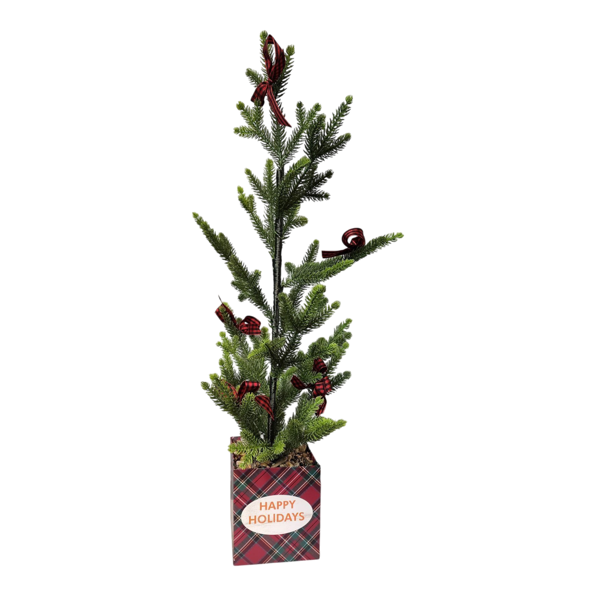 Potted Pine Tree - 24" Tall