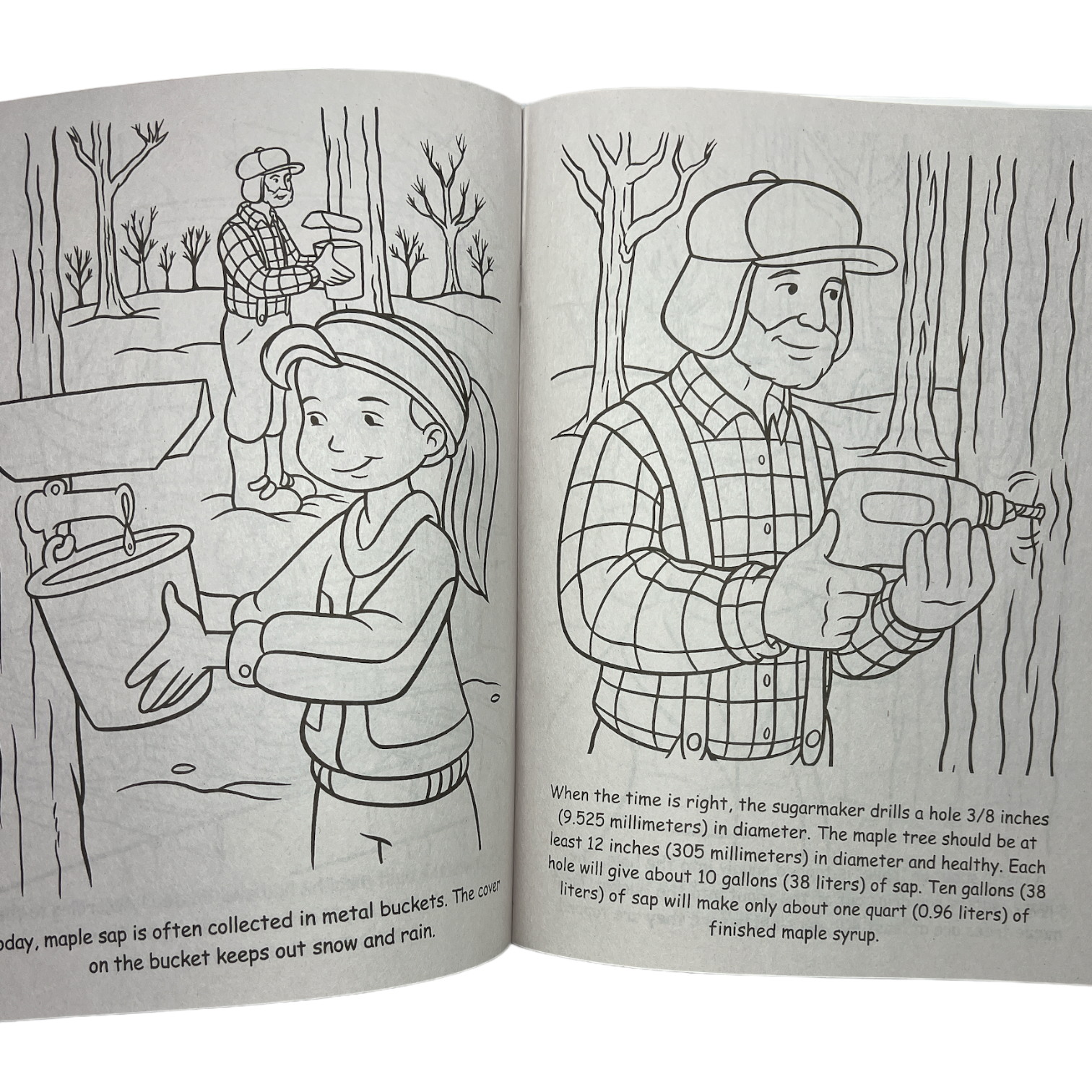 Welcome To Our Sugarhouse  Story / Coloring Book